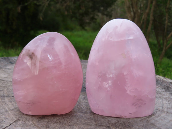 Polished Rose Quartz Standing Free Forms x 2 From Madagascar - TopRock