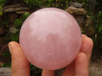 Polished Gemmy Rose Quartz Spheres  x 2 From Madagascar - Toprock Gemstones and Minerals