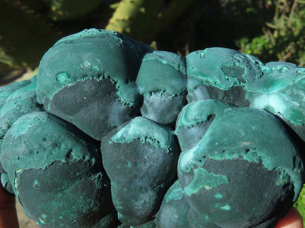 Natural Solid Heavy Etched Botryoidal Malachite Specimen x 1 From Kambove, Congo - TopRock