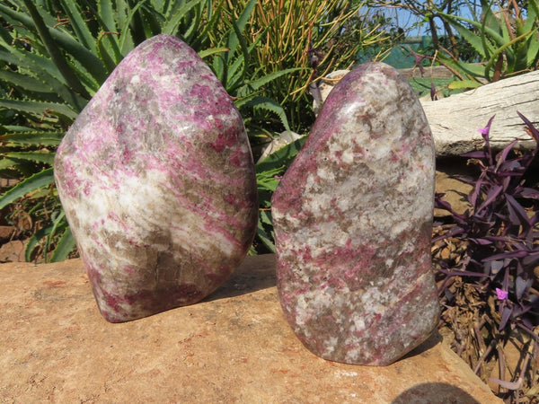 Polished Rubellite Standing Free Forms x 2 From Madagascar - TopRock