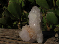 Natural White Spirit Quartz Clusters  x 6 From Boekenhouthoek, South Africa - Toprock Gemstones and Minerals
