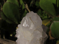 Natural White Spirit Quartz Clusters  x 6 From Boekenhouthoek, South Africa - Toprock Gemstones and Minerals