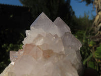 Natural White Spirit Quartz Clusters  x 6 From Boekenhouthoek, South Africa - Toprock Gemstones and Minerals