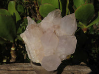 Natural White Spirit Quartz Clusters  x 6 From Boekenhouthoek, South Africa - Toprock Gemstones and Minerals