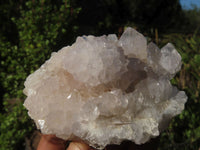 Natural White Spirit Quartz Clusters  x 6 From Boekenhouthoek, South Africa - Toprock Gemstones and Minerals
