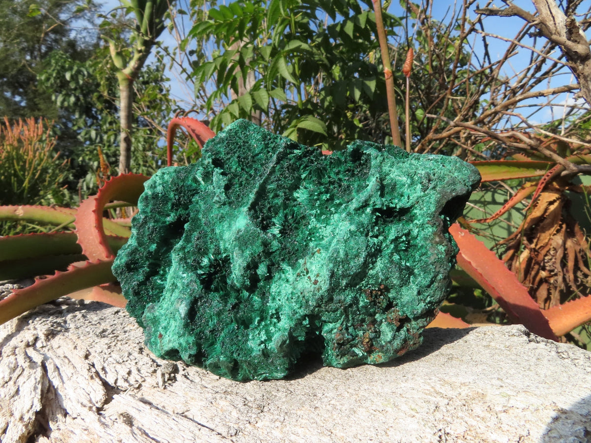 Natural Silky Malachite Specimen x 1 From Kasompe, Congo - TopRock