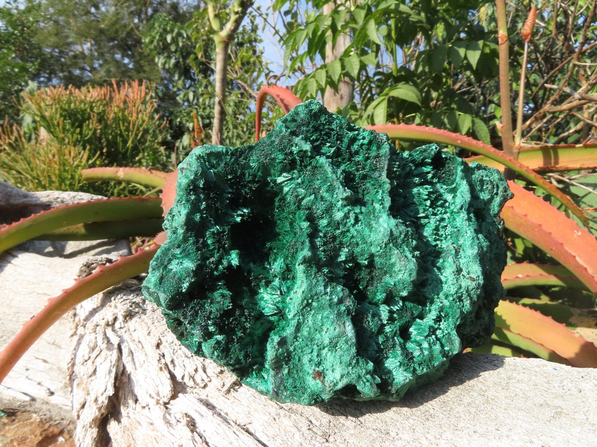 Natural Silky Malachite Specimen x 1 From Kasompe, Congo - TopRock