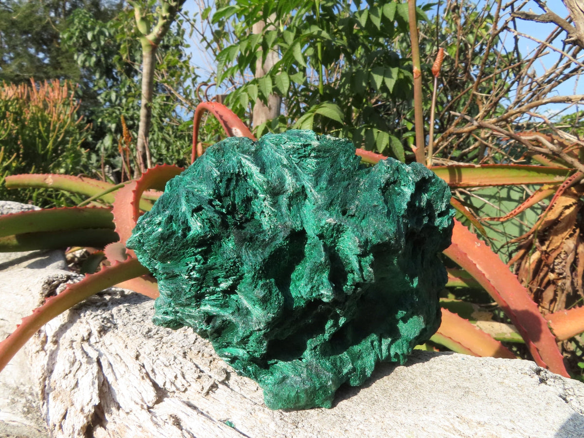Natural Silky Malachite Specimen x 1 From Kasompe, Congo - TopRock