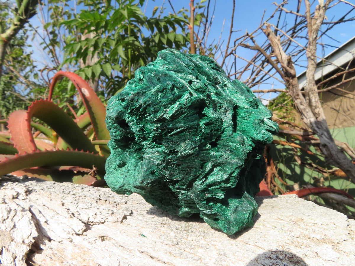 Natural Silky Malachite Specimen x 1 From Kasompe, Congo - TopRock
