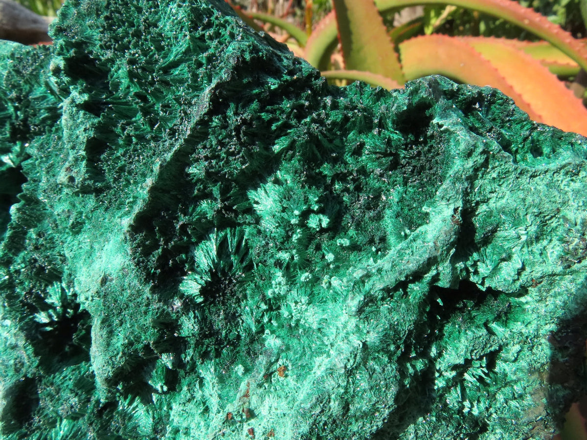 Natural Silky Malachite Specimen x 1 From Kasompe, Congo - TopRock