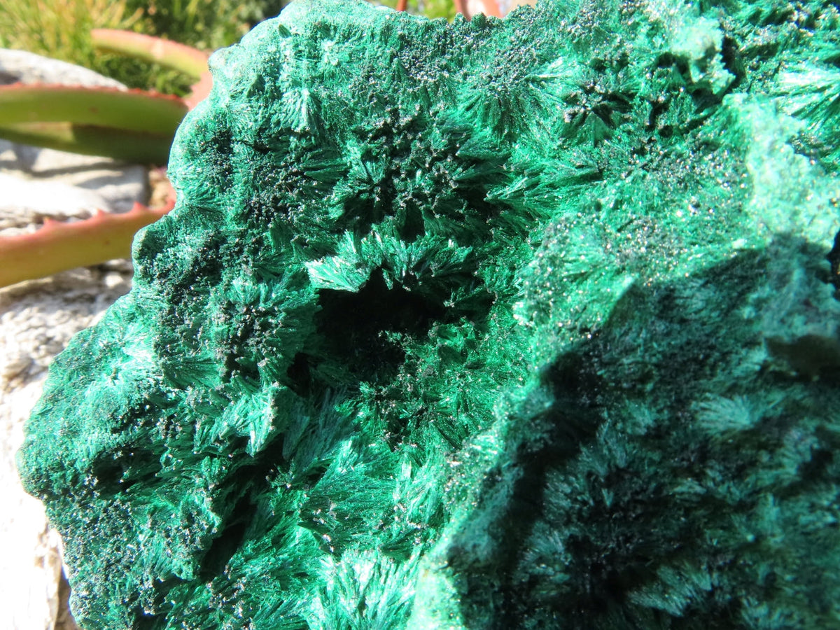 Natural Silky Malachite Specimen x 1 From Kasompe, Congo - TopRock