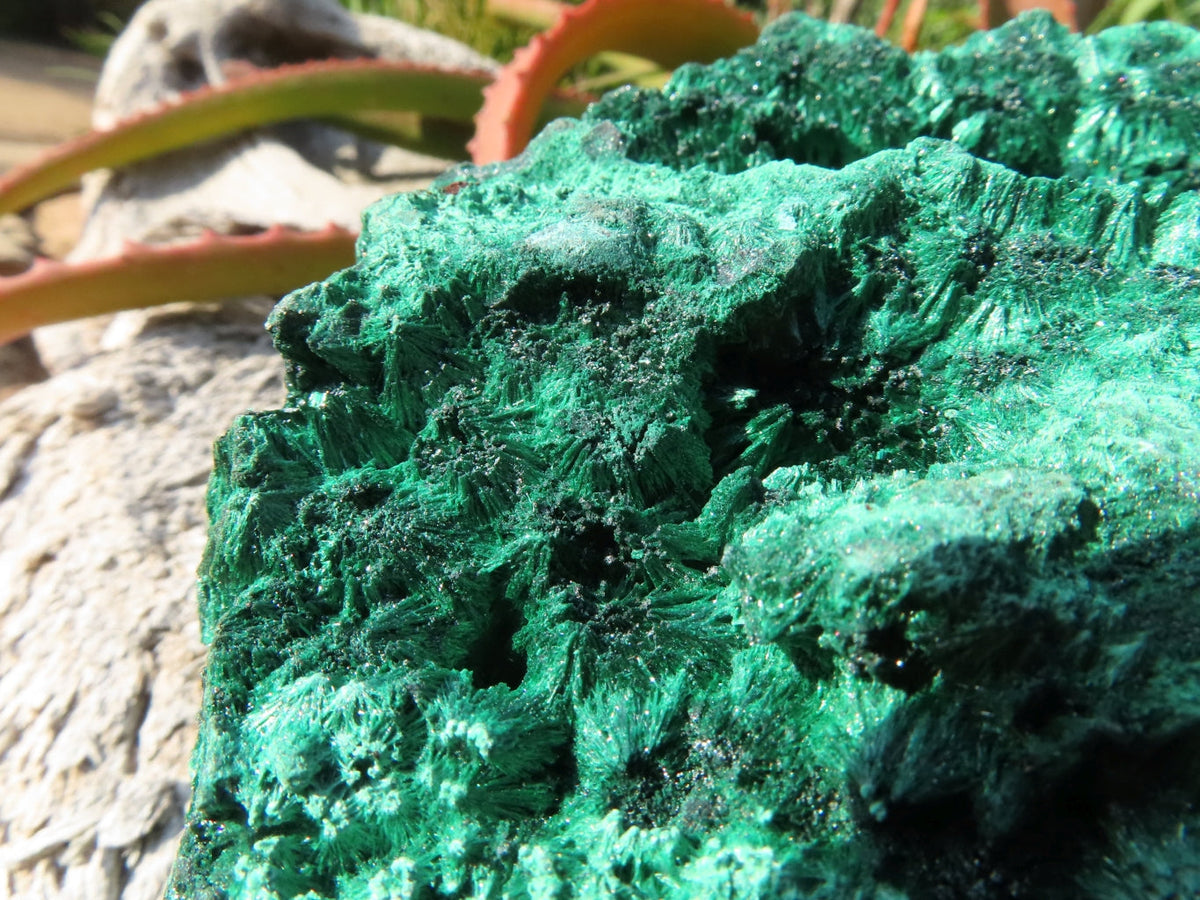 Natural Silky Malachite Specimen x 1 From Kasompe, Congo - TopRock