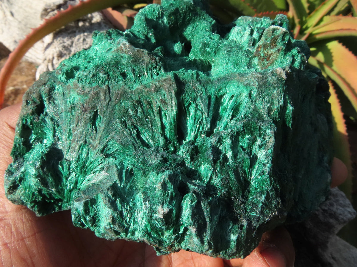 Natural Silky Malachite Specimen x 1 From Kasompe, Congo - TopRock