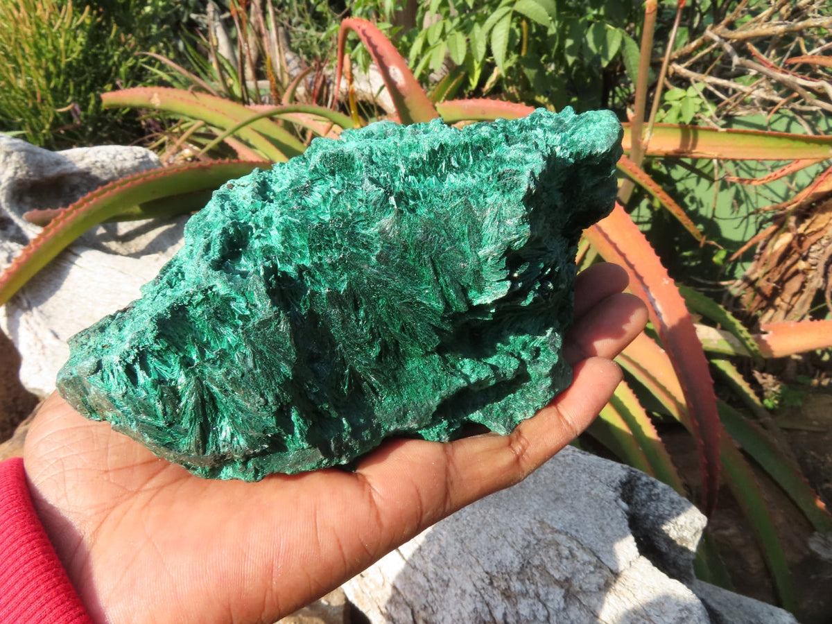 Natural Silky Malachite Specimen x 1 From Kasompe, Congo - TopRock