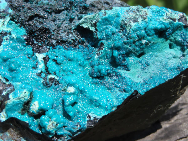 Natural Large Affordable Silica Chrysocolla Specimens x 3 From Congo - TopRock