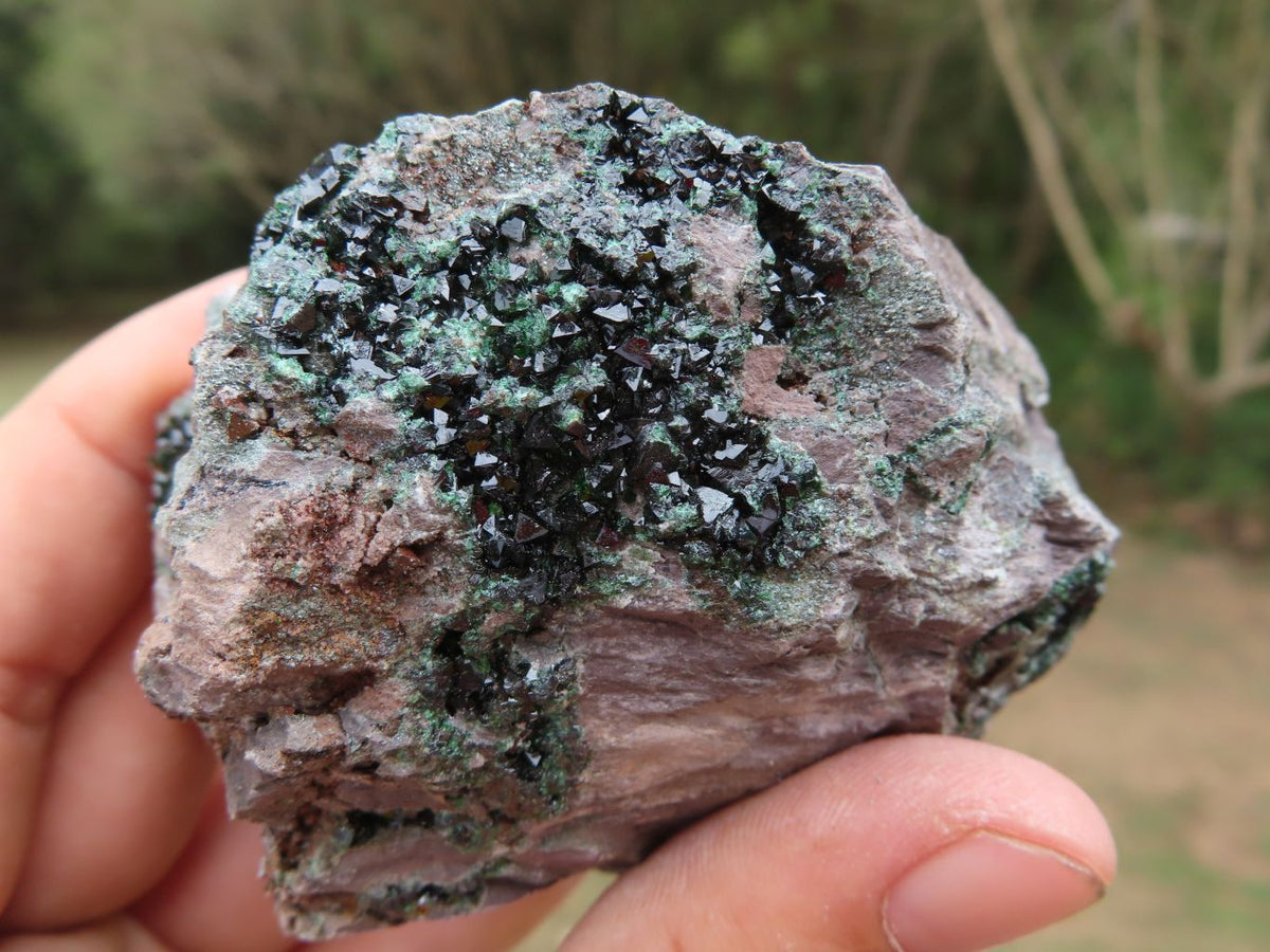 Natural Rare Copper Phosphate Libethenite On Dolomite Specimens x 2 From Shituru, Congo - TopRock