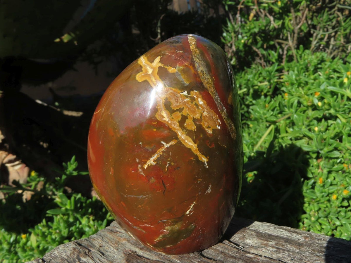 Polished Ocean Jasper Standing Free Forms x 3 From Madagascar - TopRock
