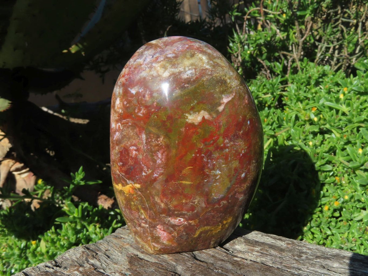Polished Ocean Jasper Standing Free Forms x 3 From Madagascar - TopRock