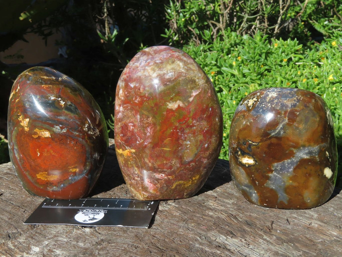 Polished Ocean Jasper Standing Free Forms x 3 From Madagascar - TopRock