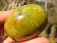 Polished  Green Opal Galet / Palm Stones x 12 From Antsirabe, Madagascar - Toprock Gemstones and Minerals