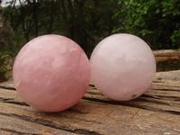 Polished Pink Rose Quartz Spheres  x 2 From Madagascar - Toprock Gemstones and Minerals