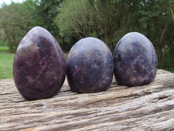 Polished Purple Lepidolite With Pink Rubellite Standing Free Forms x 6 From Madagascar - TopRock
