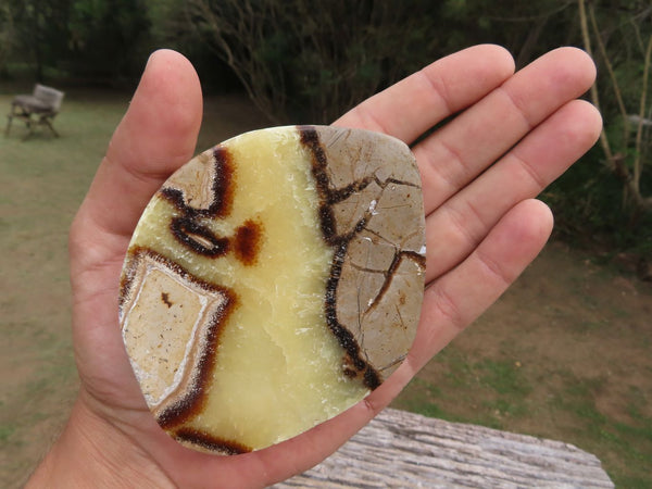 Polished Septerye (Aragonite & Calcite) Slices x 12 From Mahajanga, Madagascar - TopRock