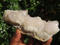 Natural Mixed Spirit Amethyst Quartz Clusters  x 6 From Boekenhouthoek, South Africa - Toprock Gemstones and Minerals