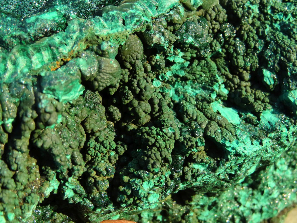Natural Large Botryoidal Crystalline Malachite Specimen x 1 From Kambove, Congo - TopRock