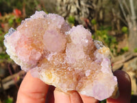 Natural Pale Lilac Spirit Quartz Clusters x 12 From Boekenhouthoek, South Africa - Toprock Gemstones and Minerals