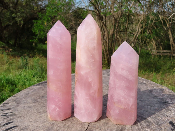 Polished Rose Quartz Crystal Points x 3 From Antsirabe, Madagascar - TopRock