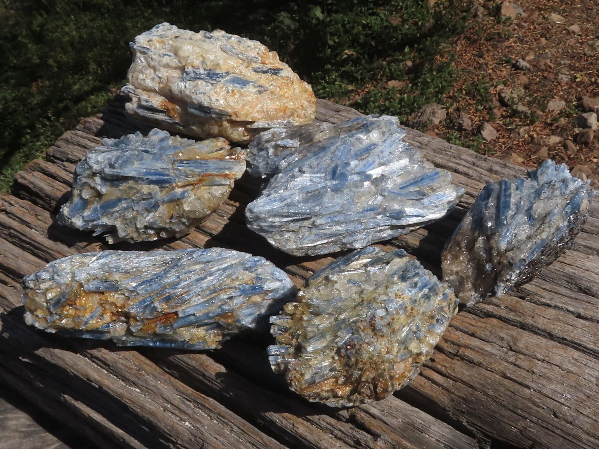 Natural Blue Kyanite Crystals In Schist Specimens x 6 From Karoi, Zimbabwe - TopRock