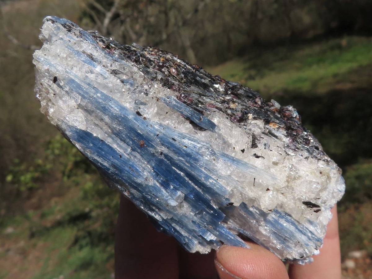Natural Blue Kyanite Crystals In Schist Specimens x 6 From Karoi, Zimbabwe - TopRock