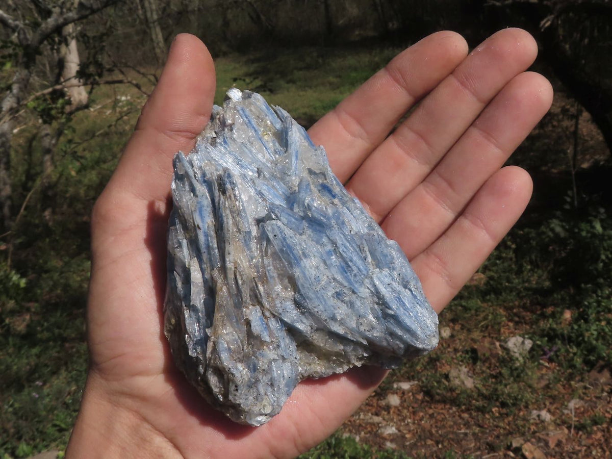 Natural Blue Kyanite Crystals In Schist Specimens x 6 From Karoi, Zimbabwe - TopRock