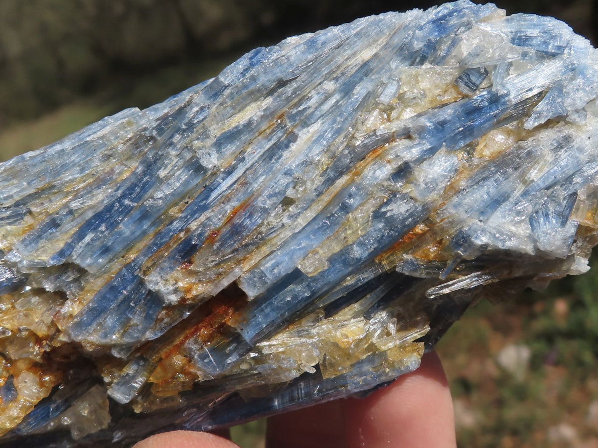 Natural Blue Kyanite Crystals In Schist Specimens x 6 From Karoi, Zimbabwe - TopRock