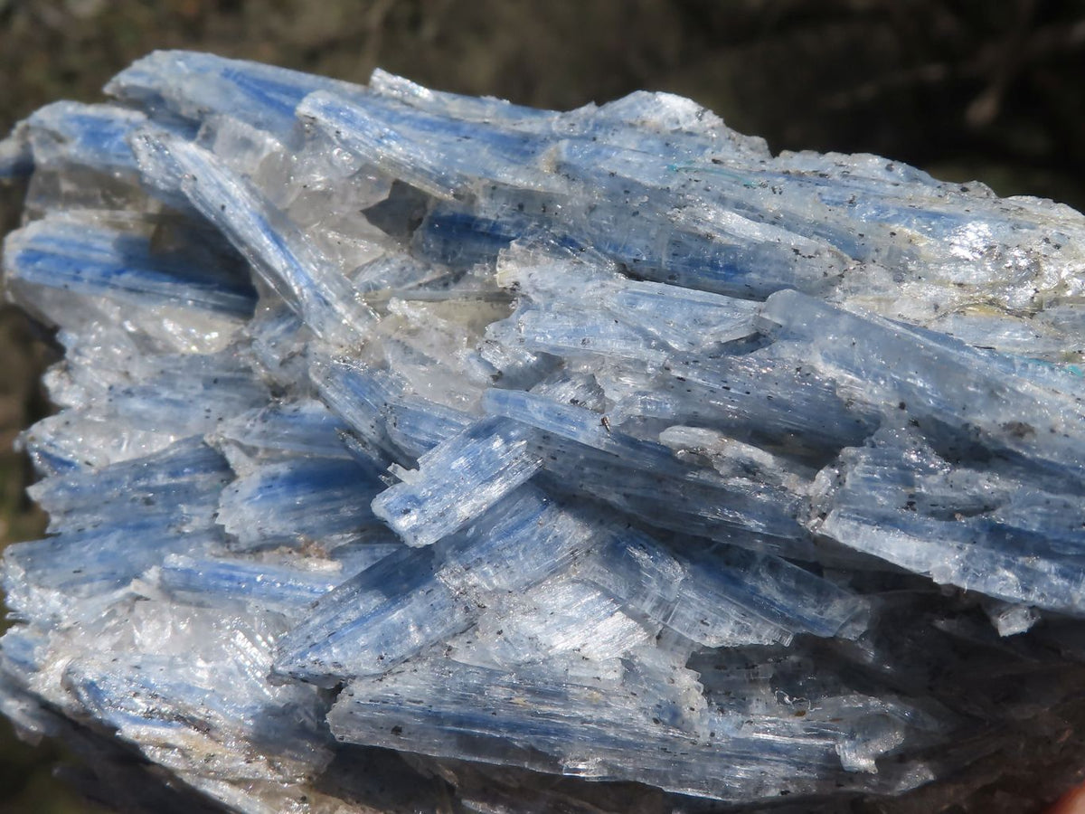 Natural Blue Kyanite Crystals In Schist Specimens x 6 From Karoi, Zimbabwe - TopRock