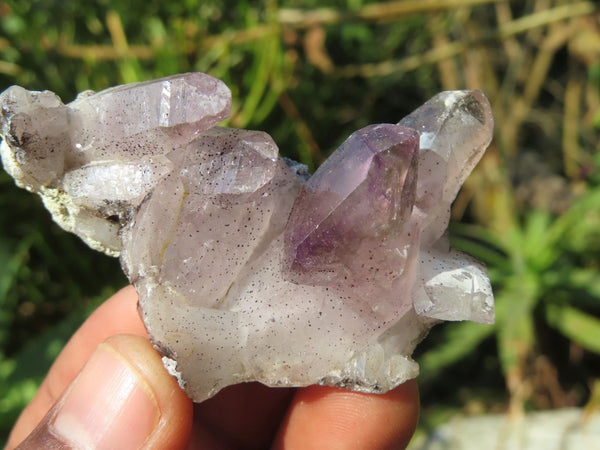 Natural Skeletal Sceptre & Window Smokey Amethyst Crystals  x 7 From Chiredzi, Zimbabwe - TopRock