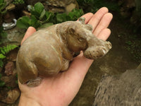 Polished Verdite Hippo Carvings  x 2 From Zimbabwe - TopRock