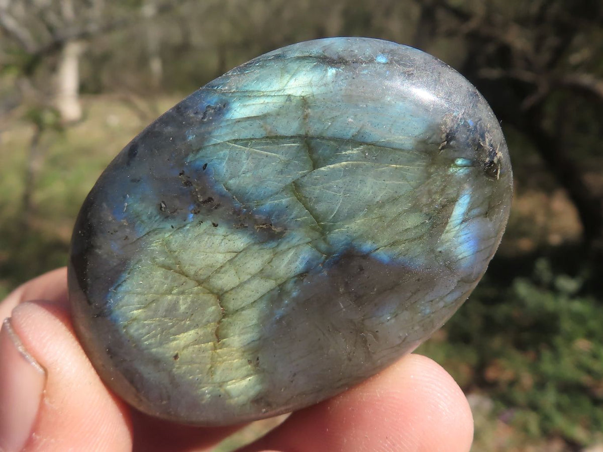 Polished Flashy Blue & Gold Labradorite Gallets x 20 From Tulear, Madagascar - TopRock