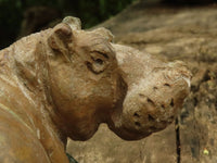 Polished Verdite Hippo Carvings  x 2 From Zimbabwe - TopRock