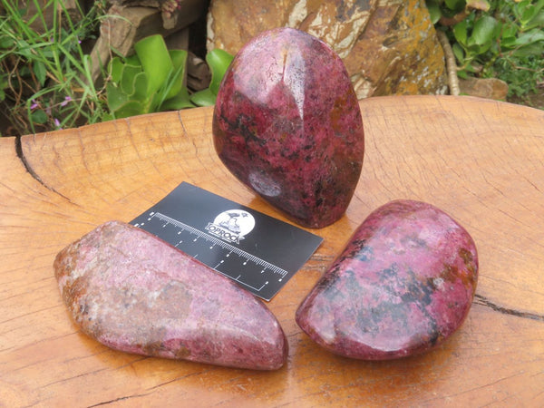Polished Red Rhodonite x 2 Free Forms x 1 Free Form Cut To Stand x 3 From Zimbabwe - TopRock
