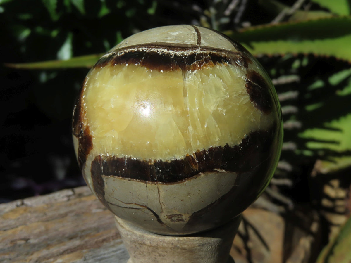 Polished Septerye Spheres x 6 From Mahajanga, Madagascar - TopRock