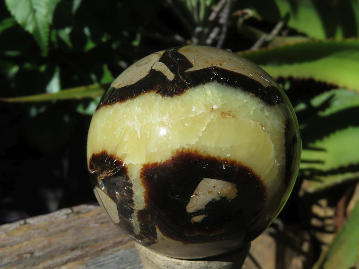 Polished Septerye Spheres x 6 From Mahajanga, Madagascar - TopRock