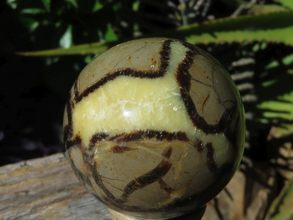 Polished Septerye Spheres x 6 From Mahajanga, Madagascar - TopRock
