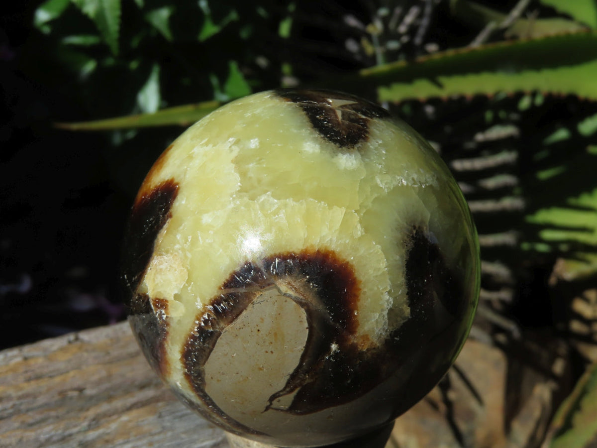 Polished Septerye Spheres x 6 From Mahajanga, Madagascar - TopRock