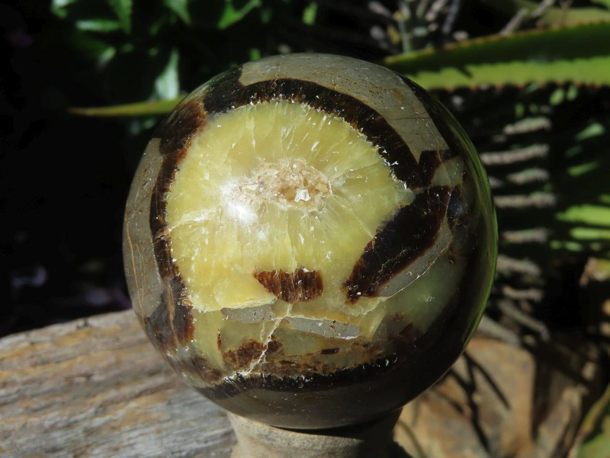 Polished Septerye Spheres x 6 From Mahajanga, Madagascar - TopRock