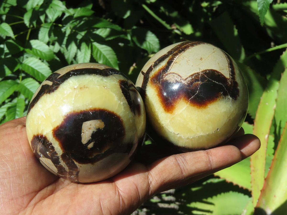 Polished Septerye Spheres x 6 From Mahajanga, Madagascar - TopRock