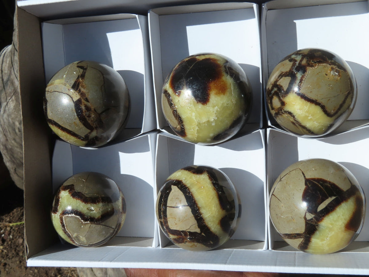 Polished Septerye Spheres x 6 From Mahajanga, Madagascar - TopRock