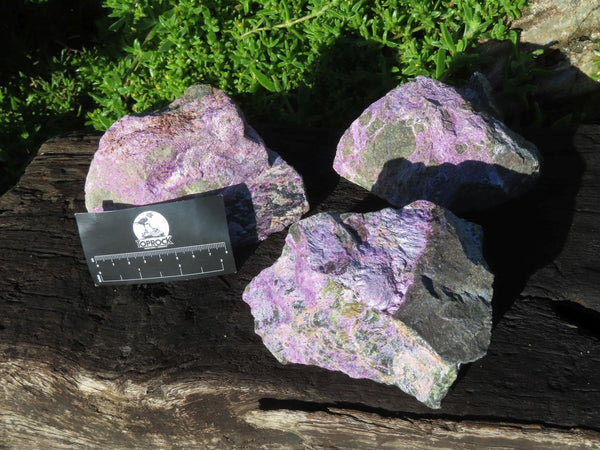 Natural Stichtite Rough Specimens With Green Serpentine x 3 From Barberton, South Africa - TopRock