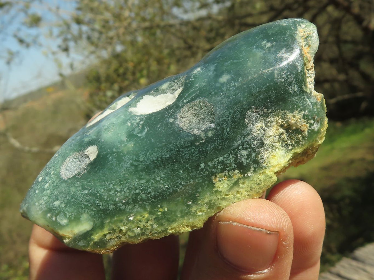 Polished Green Mtorolite Chrome / Emerald Chrysoprase Slices x 35 From Mutorashanga, Zimbabwe - TopRock